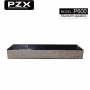 Altavoz Portátil PZX, batería recargable, Bluetooth, USB, radio FM, Aux Model: P600
