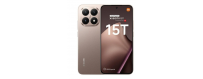 15T