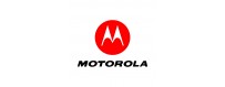 Motorola/Lenovo